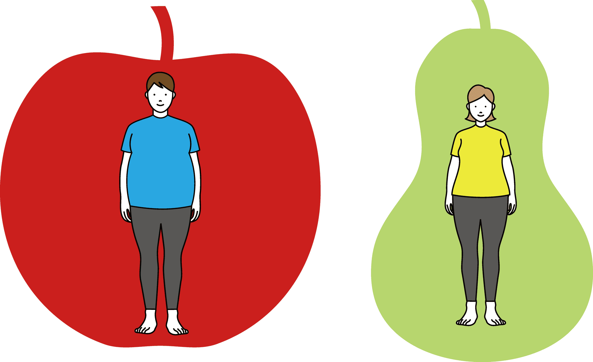 「内臓脂肪型肥満」は手足は細くてもお腹がぽっこりポッコリと出ることから「りんご型肥満」、「皮下脂肪型肥満」はお尻や太ももなど下半身につきやすく、脂肪のつき方から「洋なし型肥満」とも呼ばれます。