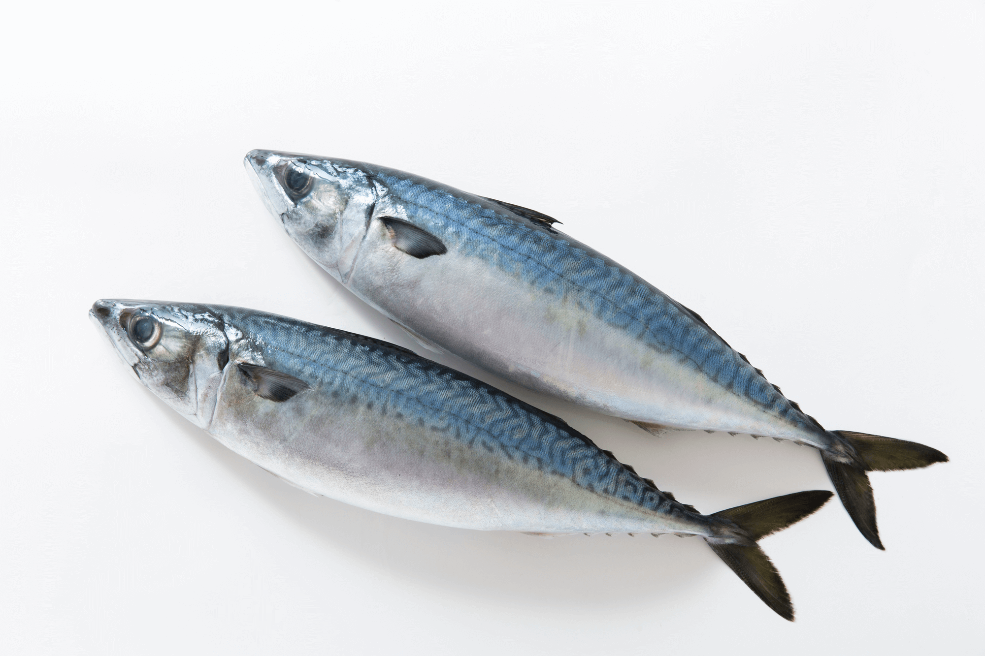 【内臓脂肪を減らす食べ物②】「不飽和脂肪酸」（オメガ３、オメガ9脂肪酸など）を含む食べ物。EPA・DHAが豊富な青魚のイメージ写真
