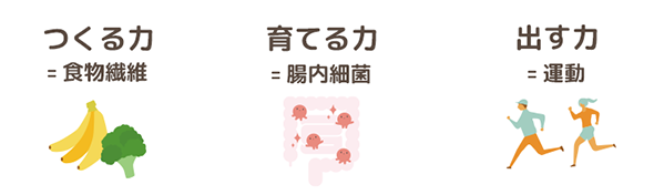 「質の良いうんち」をつくるために「つくる力」「育てる力」「出す力」が大切