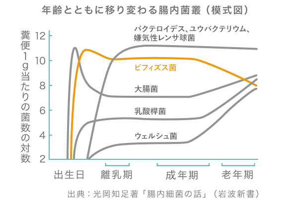 年齢とともに移り変わる腸内菌叢の模式図