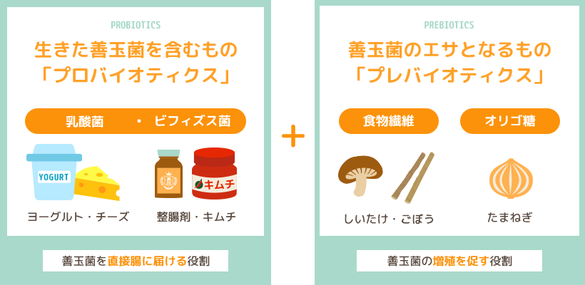 「プロバイオティクス」と「プレバイオティクス」が入っている食品のイラスト