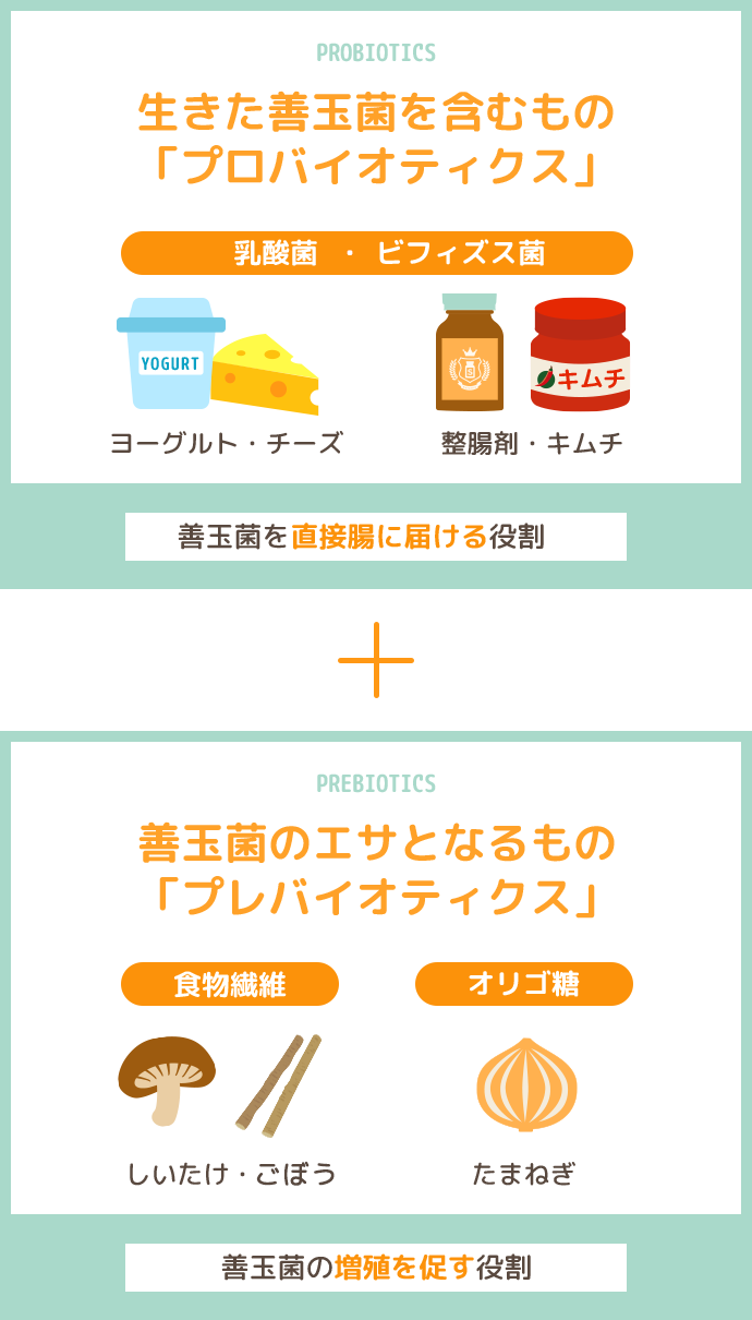 「プロバイオティクス」と「プレバイオティクス」が入っている食品のイラスト