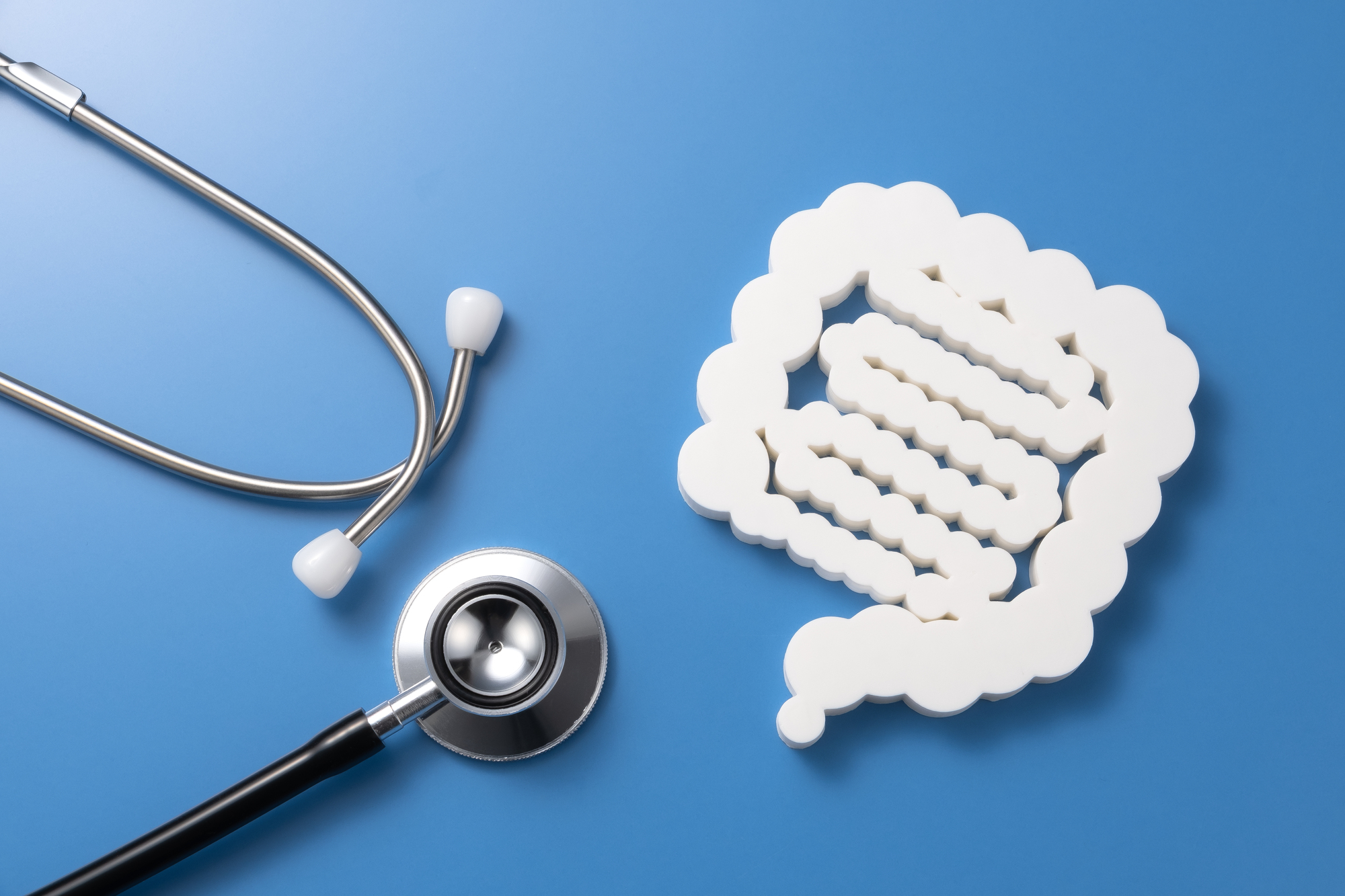 腸を診察するイメージ画像