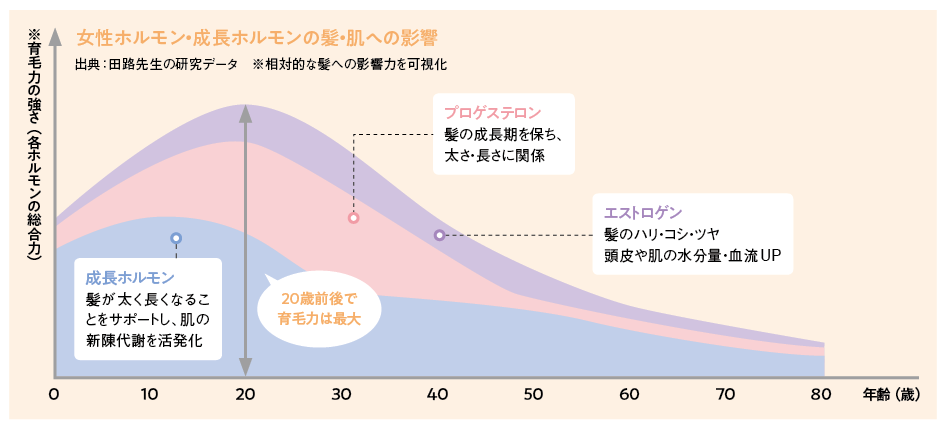 女性ホルモン・成長ホルモンの髪・肌への影響