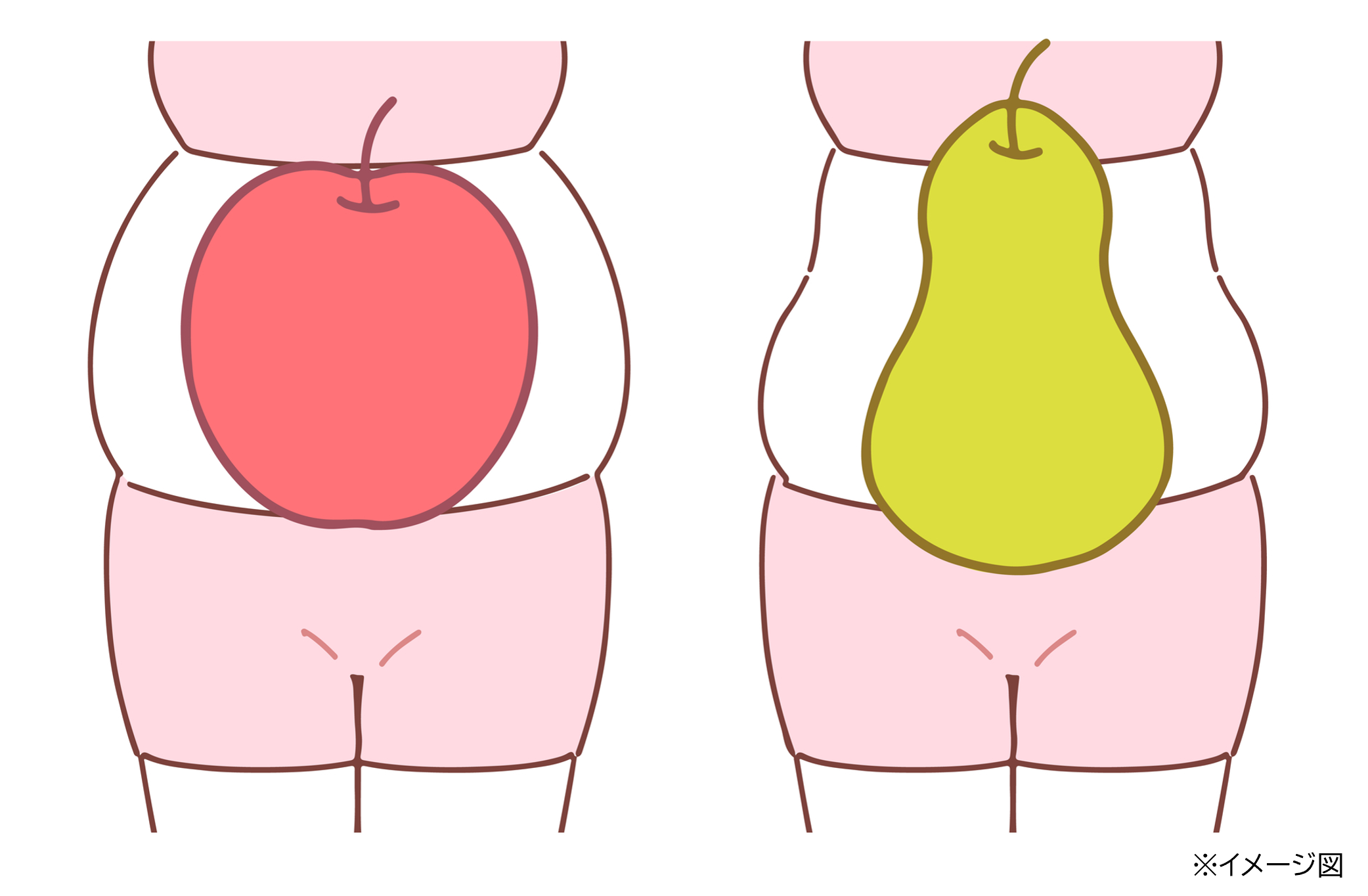 内臓の周囲に脂肪がたまっている「内臓脂肪型肥満（りんご型）」と皮膚のすぐ下に脂肪がつく「皮下脂肪型肥満（洋なし型）」のイメージ画像