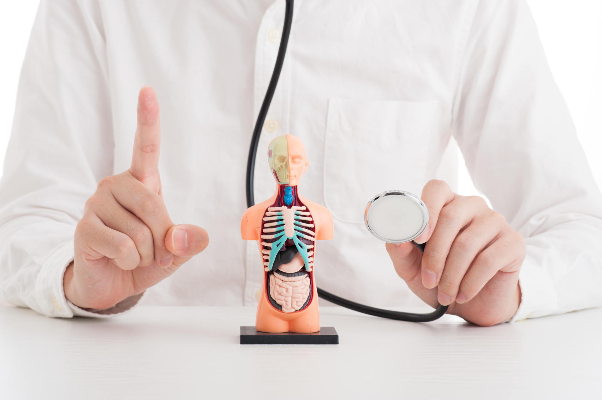 肥満で内臓脂肪が増えると老化が進む理由を解説するイメージ画像