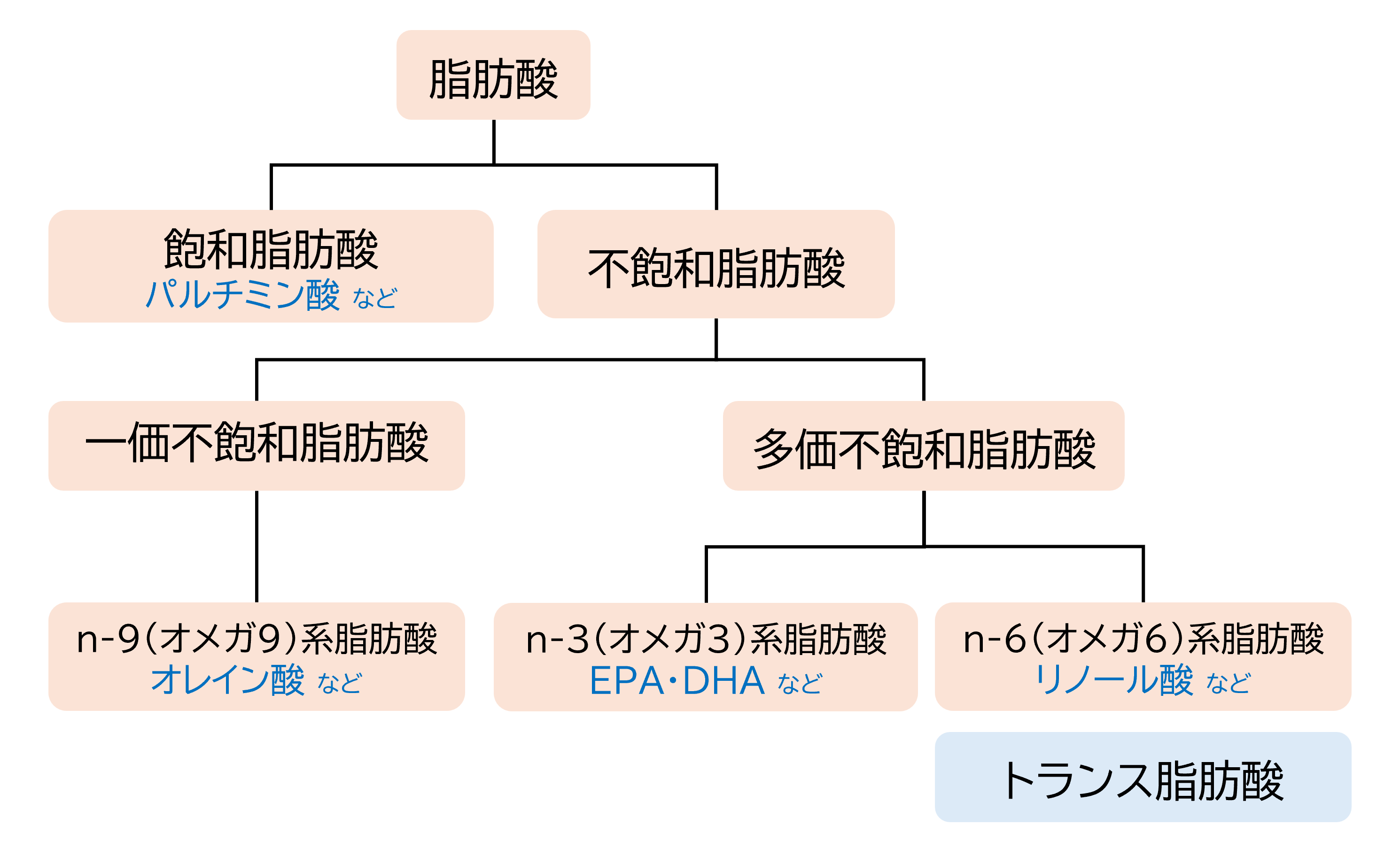 脂肪酸の種類について。脂肪酸は、飽和脂肪酸と不飽和脂肪酸に分かれ、不飽和脂肪酸は、一価不飽和脂肪酸と多価不飽和脂肪酸に分かれます。一価不飽和脂肪酸にはオレイン酸などのｎ-9（オメガ９）系の脂肪酸、多価不飽和脂肪酸は、EPAやDHAなどのｎ-３（オメガ３）系とリノール酸などのｎ-6（オメガ6）系の脂肪酸、トランス脂肪酸があります。