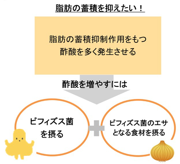 酪酸菌を増やすためにはビフィズス菌を摂る、ビフィズス菌のエサとなる食材を摂ることが書かれているイラスト