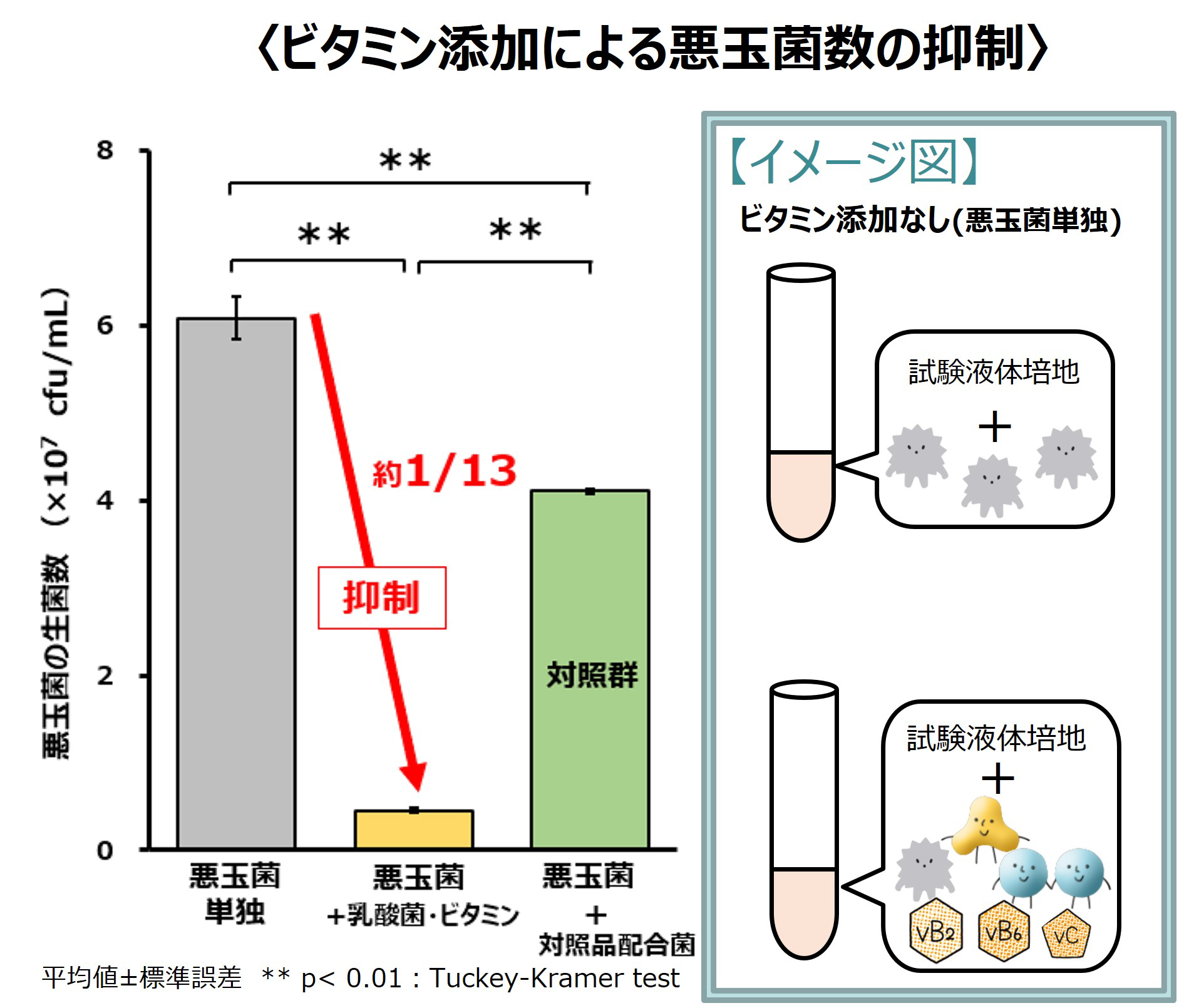 乳酸菌＋3種ビタミン（C、B2、B6）の投与により、悪玉菌数は約1／13に抑制したグラフ