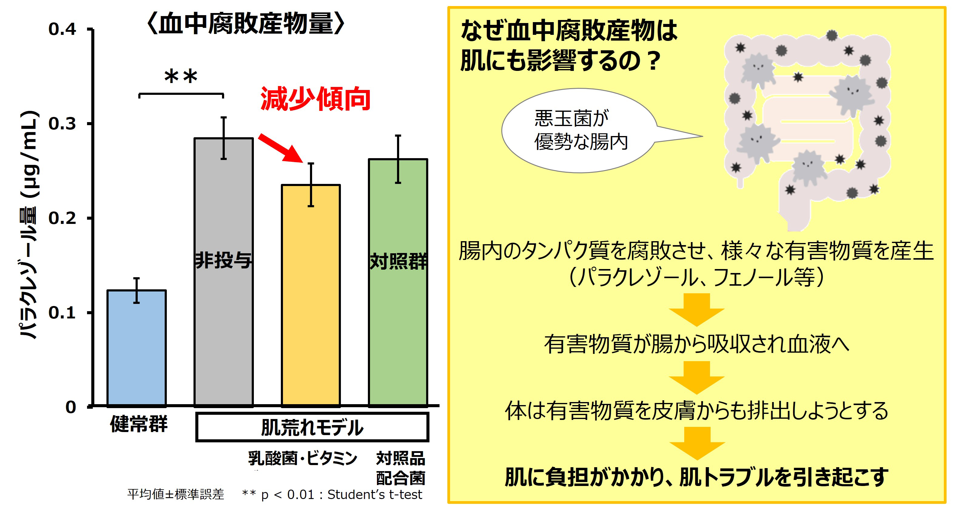 乳酸菌＋3種ビタミン（C、B2、B6）の投与により、肌のトラブルを引き起こす血中腐敗産物量が減少傾向になったグラフ