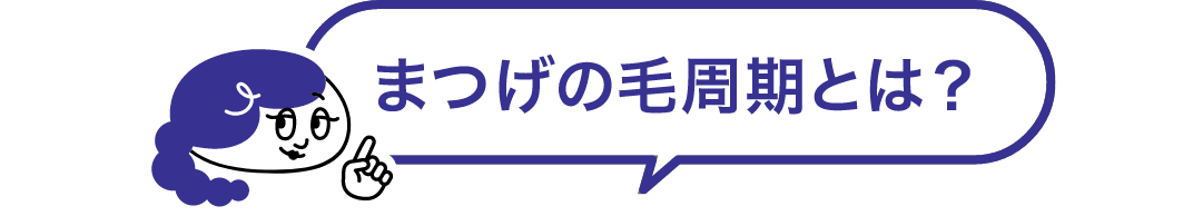 まつげの毛周期とは？