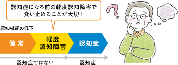 認知機能の低下と認知症の関係の表