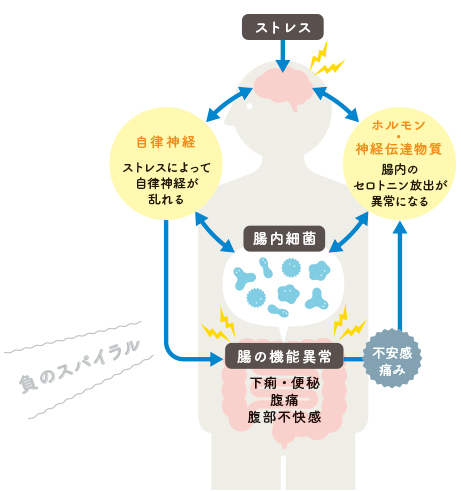 ストレスを感じると腸の機能異常が起きたり、痛みを感じやすくなったりした負のスパイラルの関係性のイラスト,