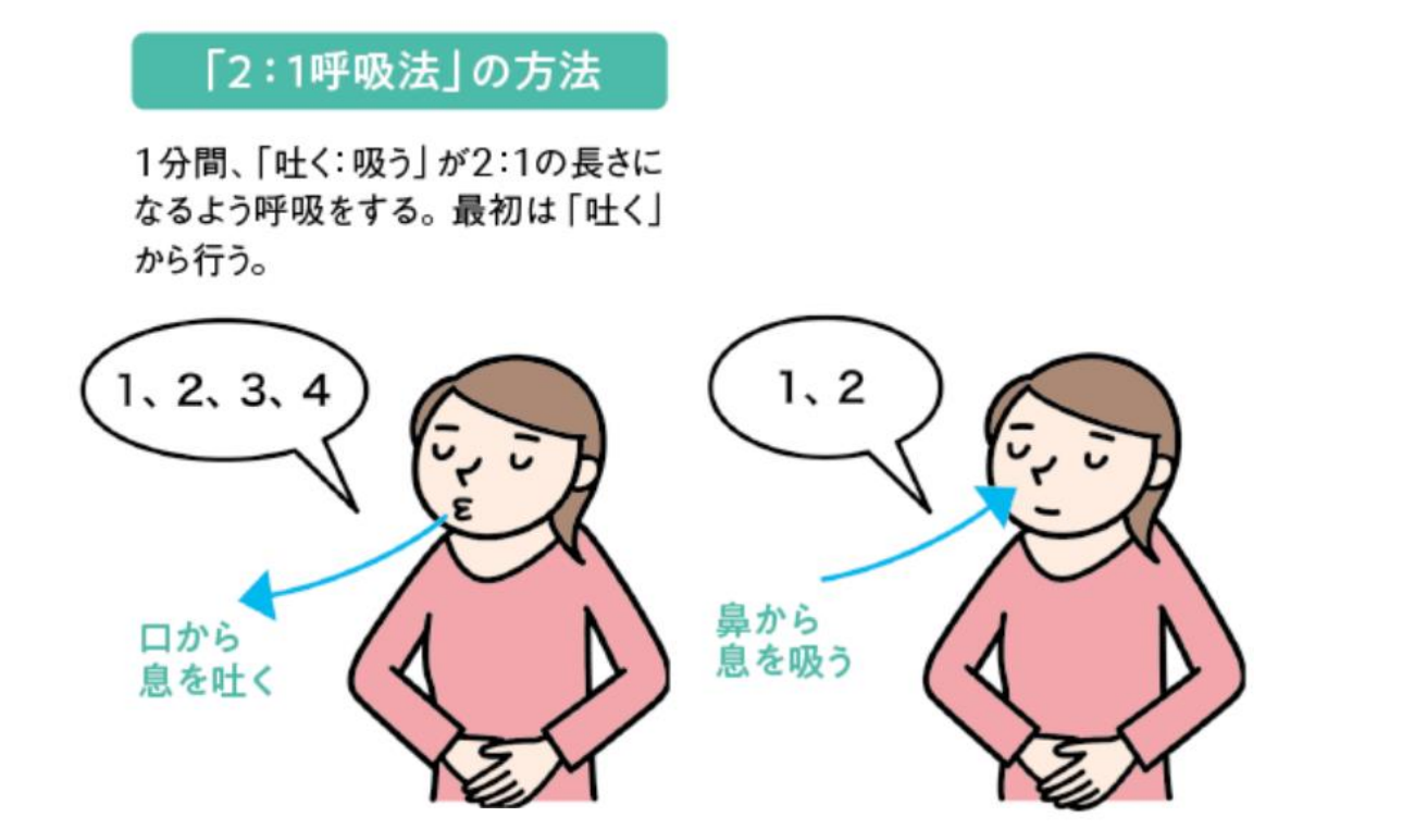 自律神経を整える呼吸法の方法のイラスト、１分間「吐く：吸う」が「2：1」の長さになるように呼吸する。最初は「吐く」から行う