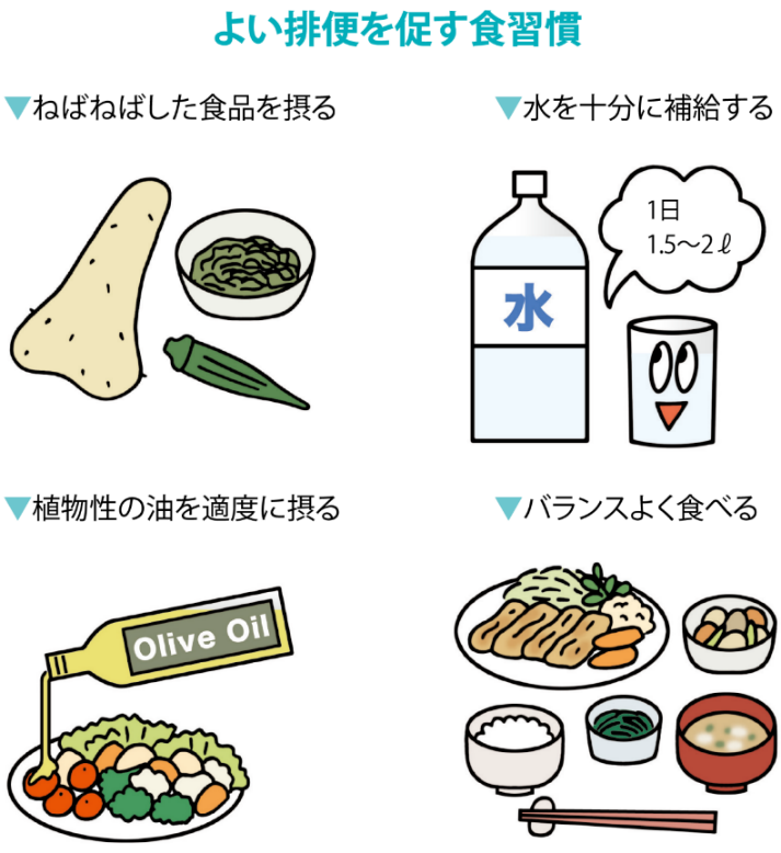 良い排便を促す食習慣の食材のイラスト、ねばねばした食品を摂る、水を十分に補給する、植物性の油を適度に摂る、バランスよく食べる