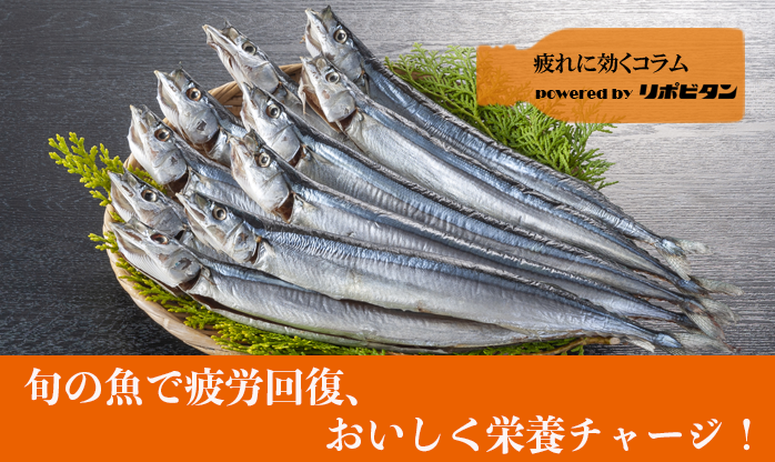 旬の魚で疲労回復、 おいしく栄養チャージ！