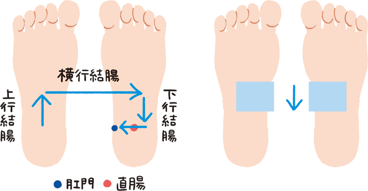 反射区のマッサージの仕方