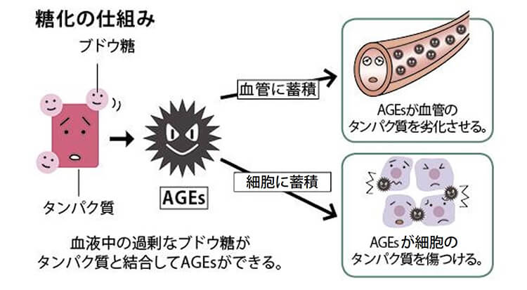 糖化の仕組み