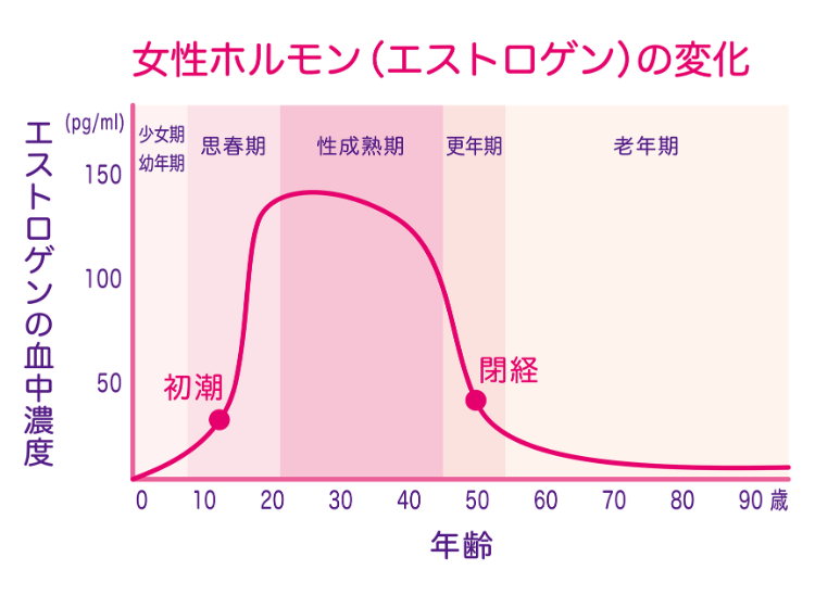 若い頃と同じスキンケアではダメな理由③ 女性ホルモンの減少からセラミドも減ってしまうから