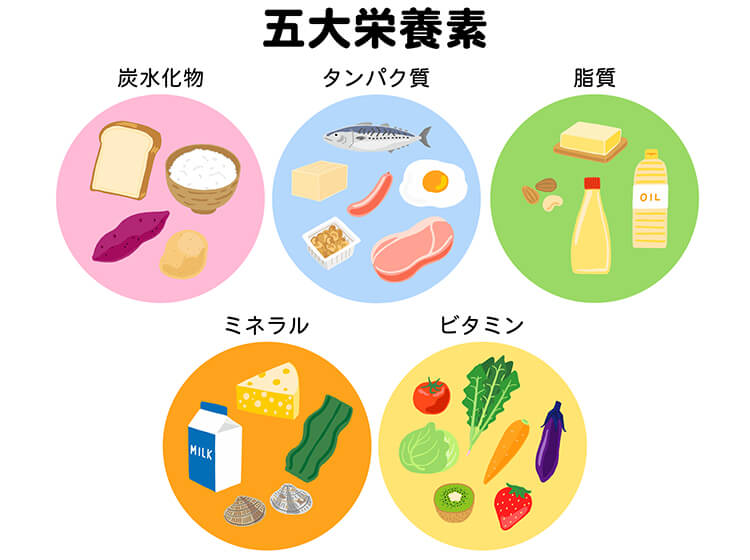 毎日の食事で、肌のターンオーバーを促進！透明感のある美白肌への一歩