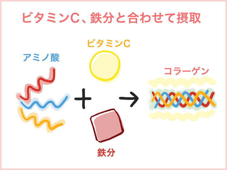 ビタミンC、鉄分と合わせて摂取