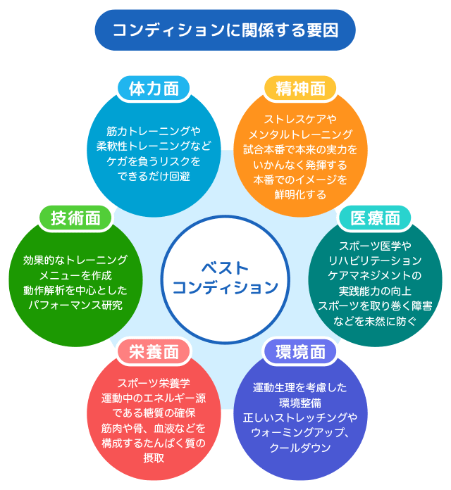 コンディショニングを裏付ける要素
