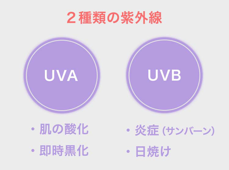 2種類の紫外線 UVA：肌の酸化、即時黒化　UVB：炎症（サンバーン）、日焼け