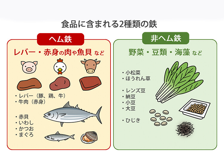 肉や魚の赤身に多く含まれる「ヘム鉄」と、野菜や穀類、豆腐、海藻類などに多く含まれる「非ヘム鉄」の2種類があります