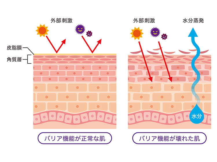 花粉による肌荒れを防ぐには保湿が大切。「バリア機能」を高めるケアを