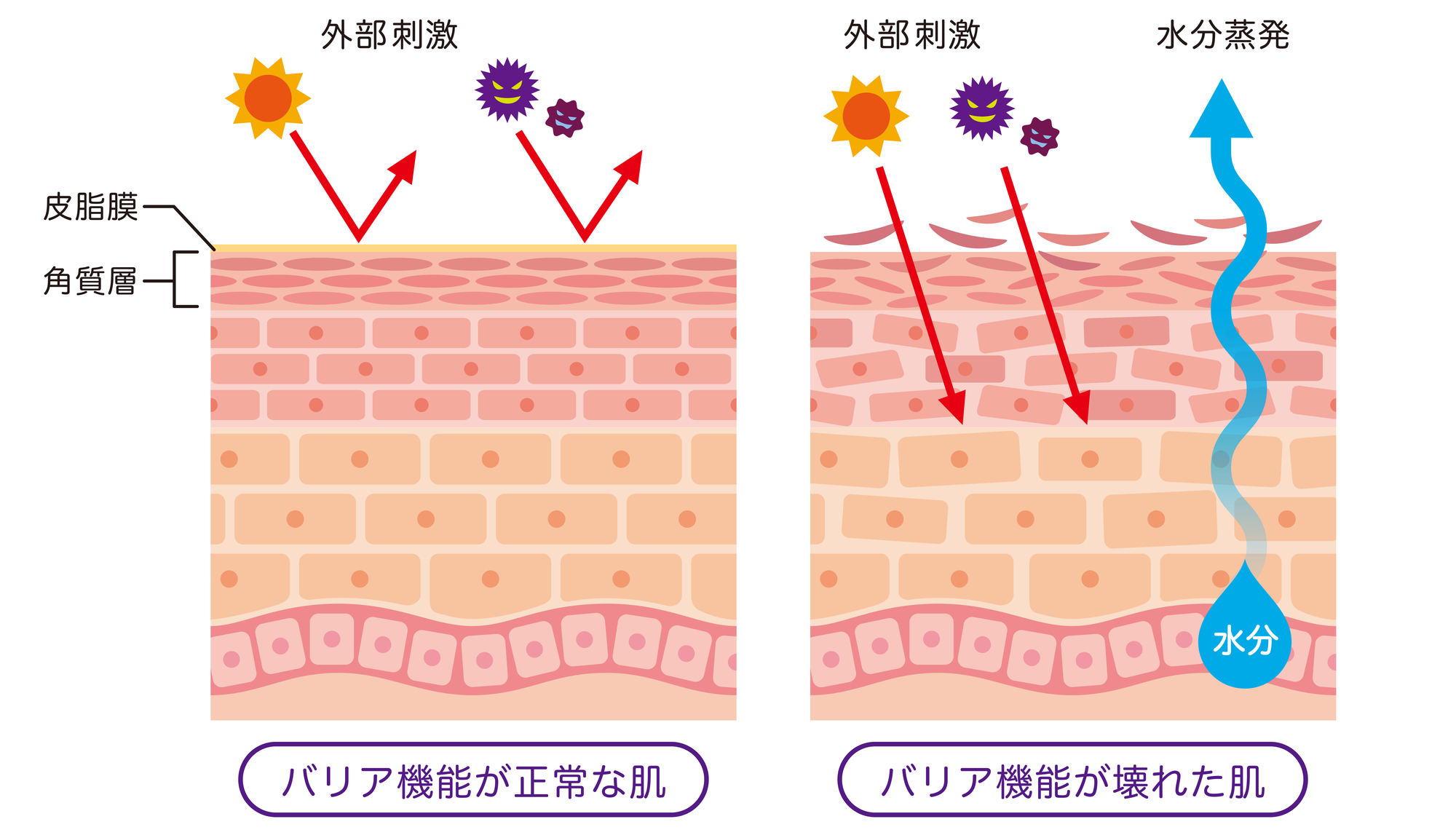 花粉による肌荒れを防ぐには保湿が大切。「バリア機能」を高めるケアを