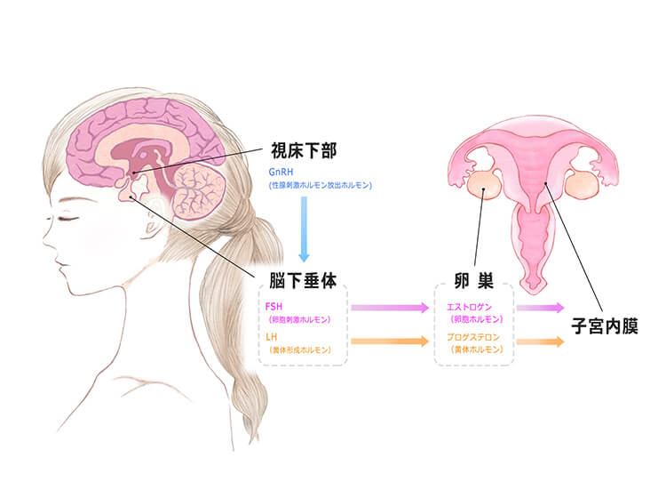 老化が現れやすいパーツNo1の「首」は、顔と一緒に保湿ケア