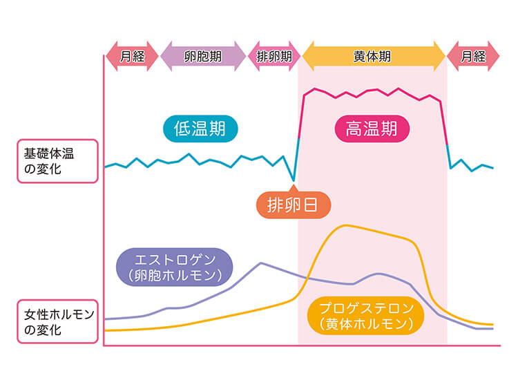 過酷な状況で頑張る「手」には、ハンドクリームに「＋α」のスペシャルケア