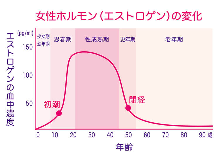 肌の乾燥や悩みと、女性ホルモン「エストロゲン」との関係は？