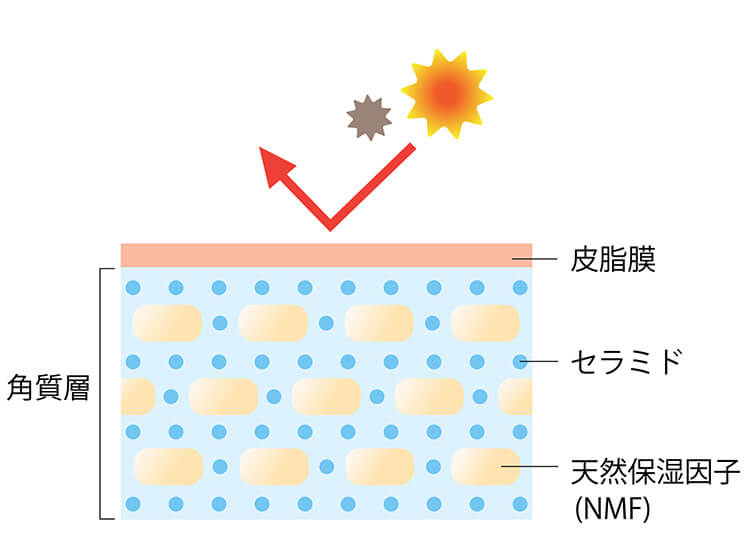 乾燥肌ケアの要、「肌の保湿力」とはいったい何？