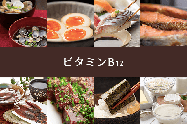 ビタミンB12の働きと 多く含まれる食材、レシピを紹介