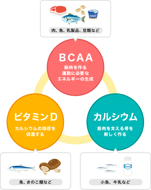 積極的に取り入れたい栄養素やレシピ