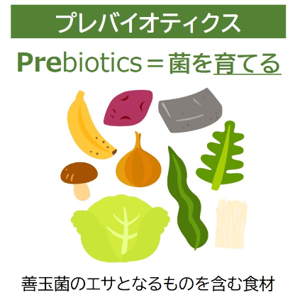 善玉菌のエサとなる「プレバイオティクス」食材も一緒に摂ろう