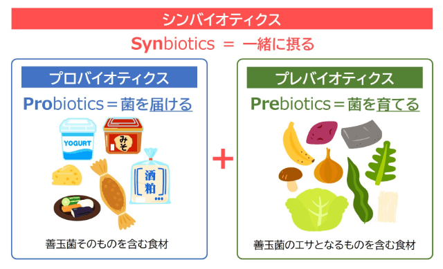 乳酸菌など、免疫の維持に役立つ菌を効果的に摂るには？