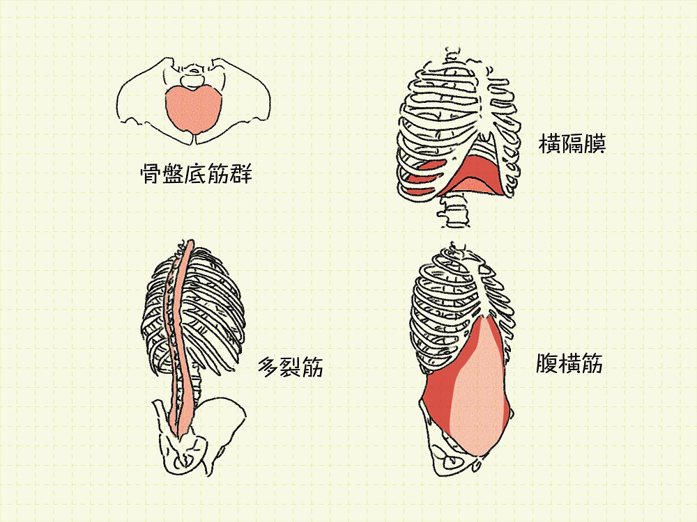 腰痛の予防には「正しい呼吸」が必要！