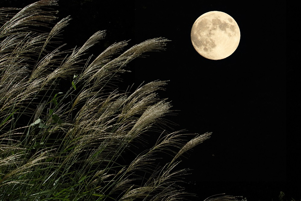 秋の夜長、睡眠で夏の疲れを解消しましょう！