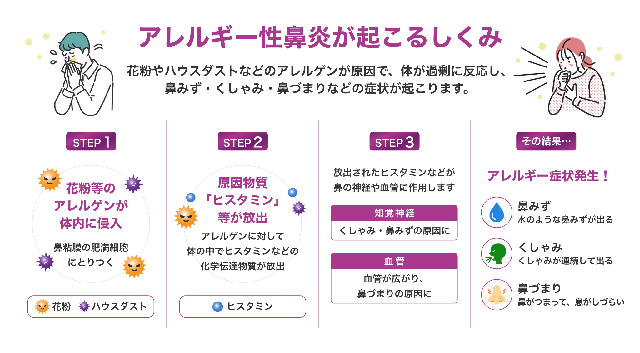 アレルギー性鼻炎が起こるしくみ