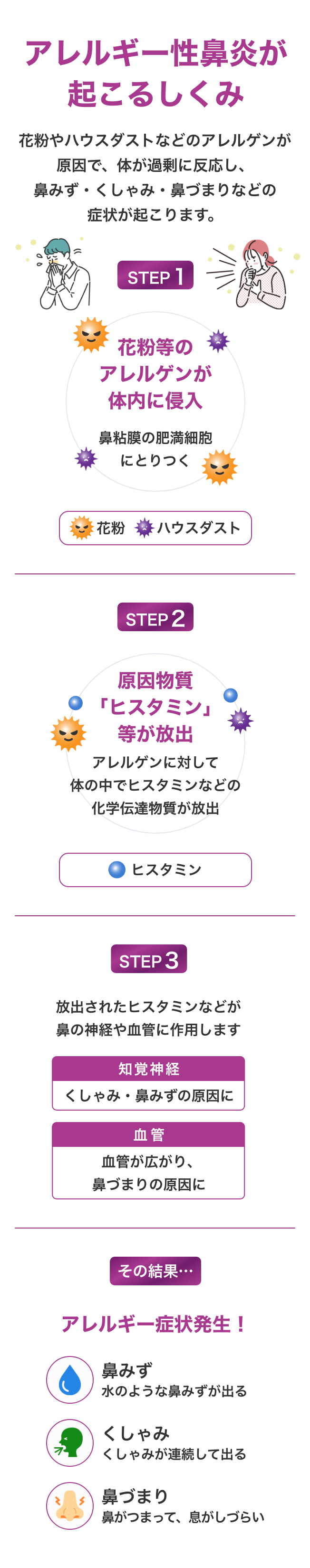 アレルギー性鼻炎が起こるしくみ