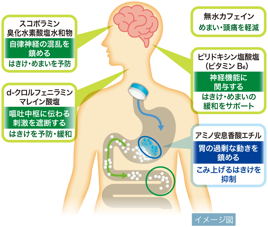 センパアProが吐き気に効くひみつ