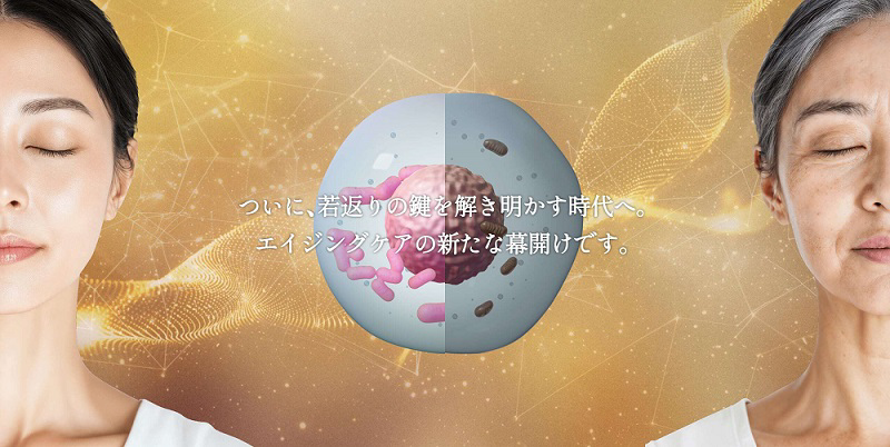 リポビタンゼリーVCの製品画像