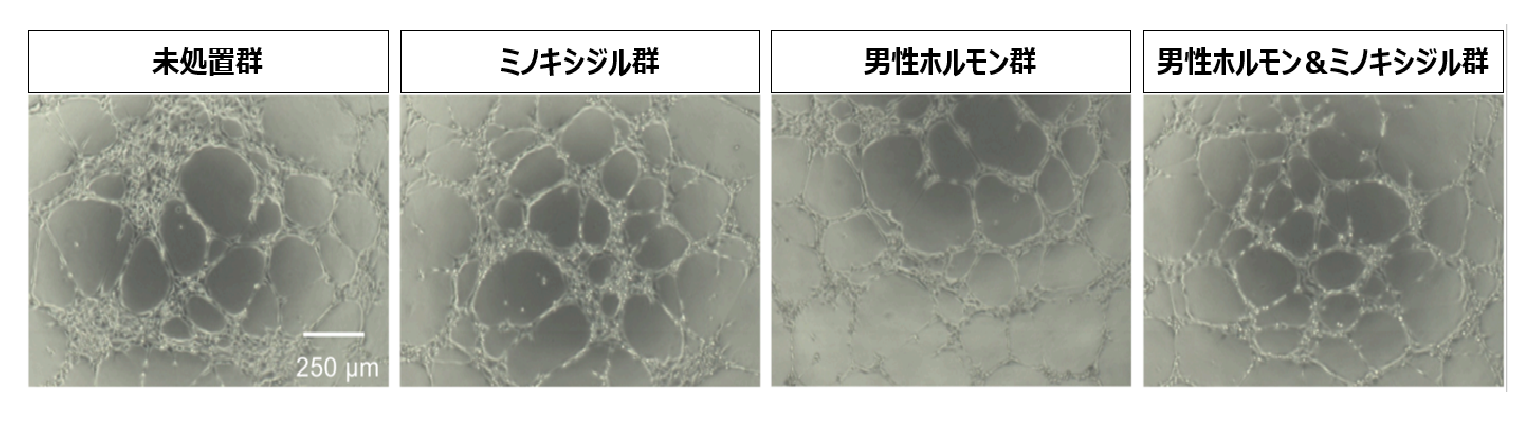 ニュースリリースの画像