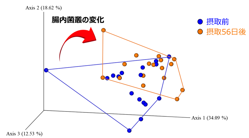ビフィズス菌G9-1と乳酸菌KS-13による 猫の腸内環境改善作用を確認