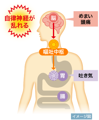 乗り物酔いのメカニズム