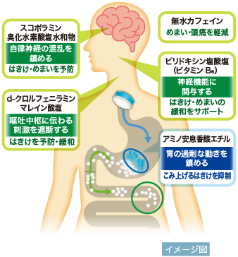 センパアProが吐き気に効くひみつ