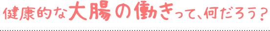 健康的な大腸の働きって、何だろう？