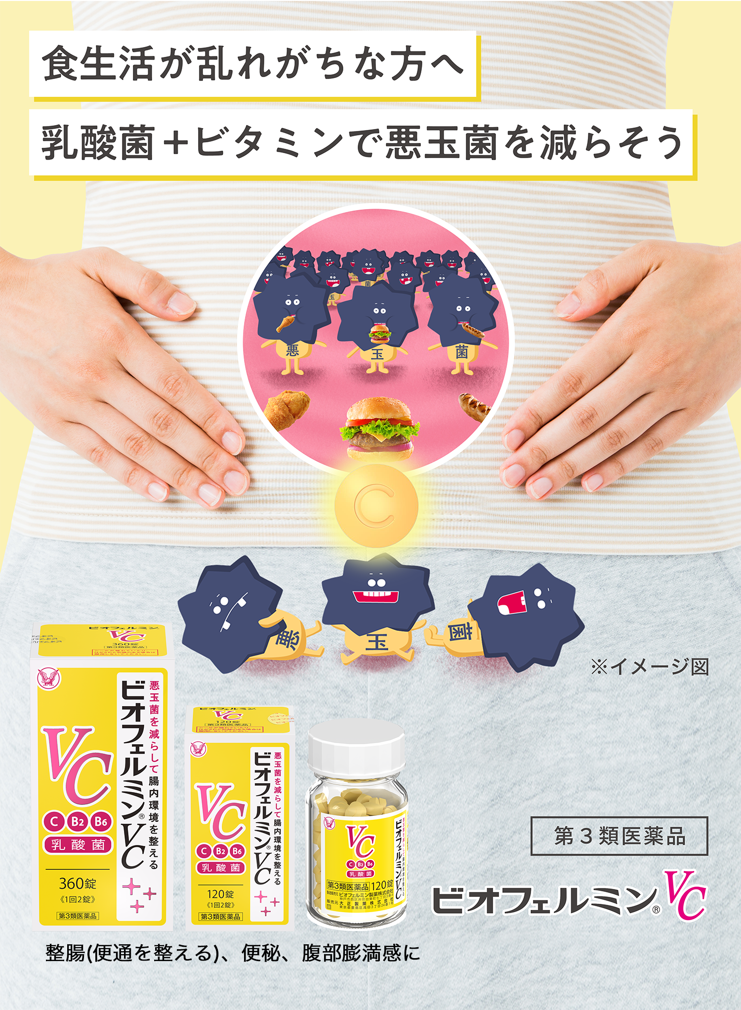ビオフェルミンVCのブランドサイトへ遷移するキービジュアル